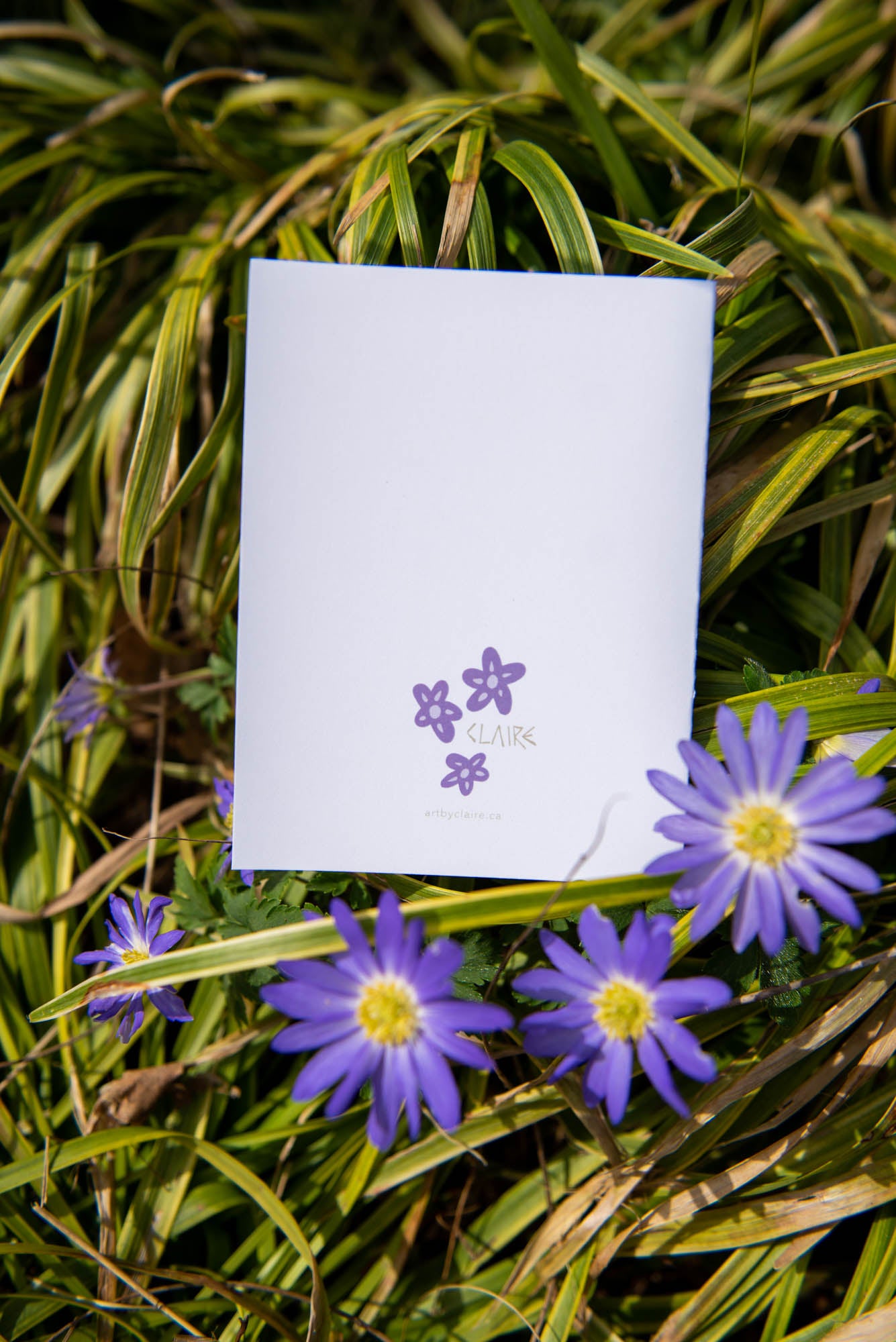 Always In My Heart (Card)