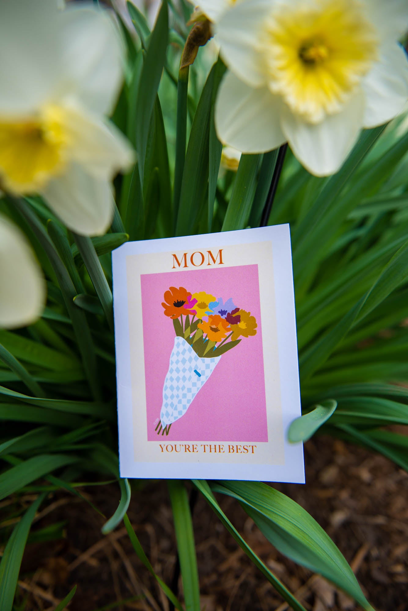 You're The Best (Mother's Day Card)