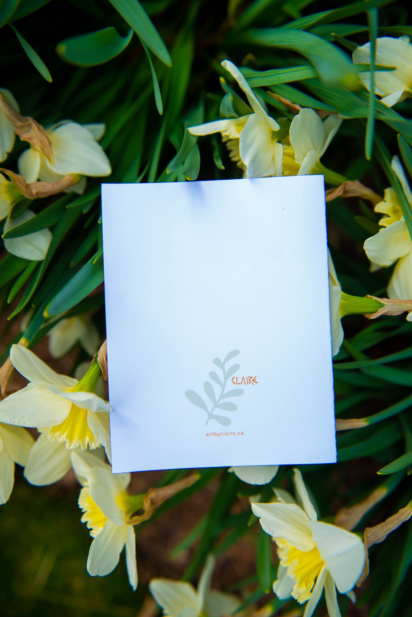 You're The Best (Mother's Day Card)